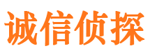 洛宁侦探社